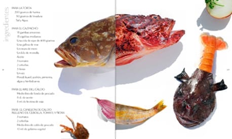ingredientes ingredientes