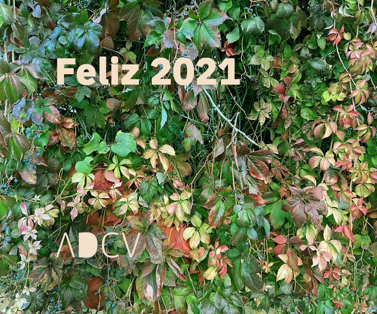 Felices fiestas