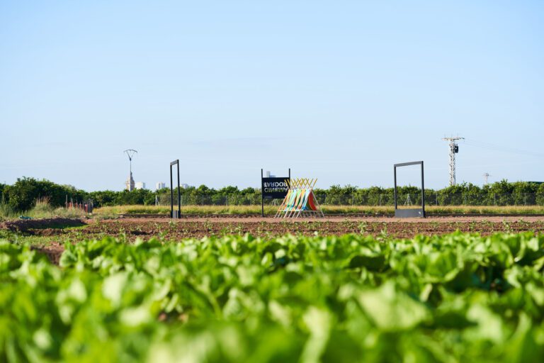 ¿Qué estudios diseñarán las instalaciones de Miradors de l’Horta?