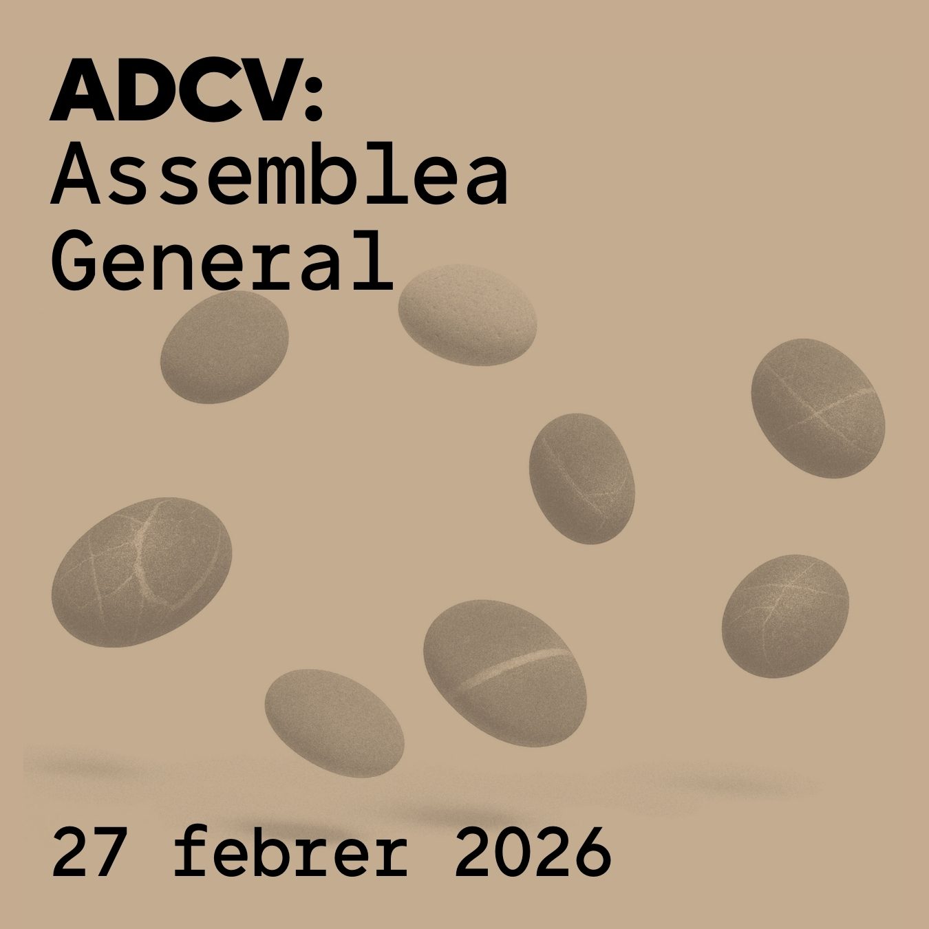 La Asamblea General avala por unanimidad la gestión de 2025 y el plan de acción para 2026